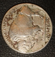 I-Would-Like-To-Know-What-They-Think-About-This-Buffalo-From-1928?.